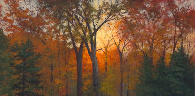 Brand New Day by Jen O'Connell